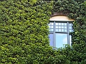 pix 081
